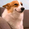 Marcelpaka