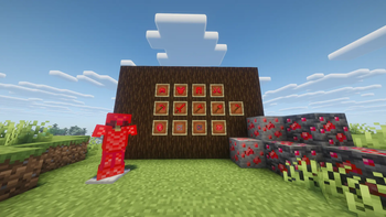 Ruby Armor & Items