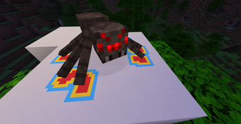 Image #7