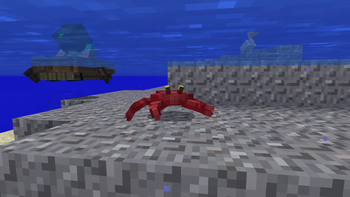 Crab