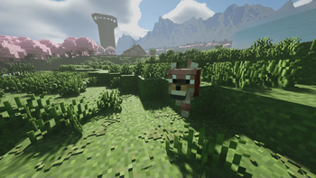 Plains /w grass