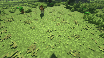 Shaders (in testing)