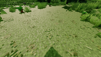 Shaders (in testing)