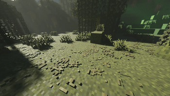 Swamp