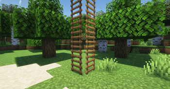 Ladders don't need a support block