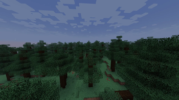 pine_forest