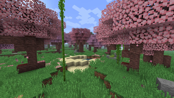 blossom_woods