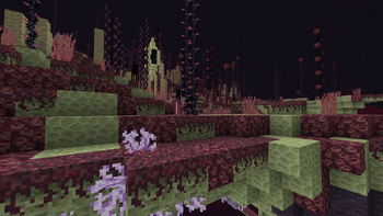 enderscope