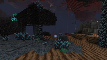 fright_forest