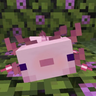 DoctoAxolotl