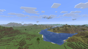 Sky Islands from a Distance