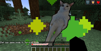 cat of (un)dying