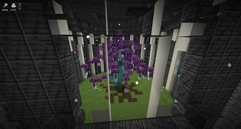 Inside My Tardis 2