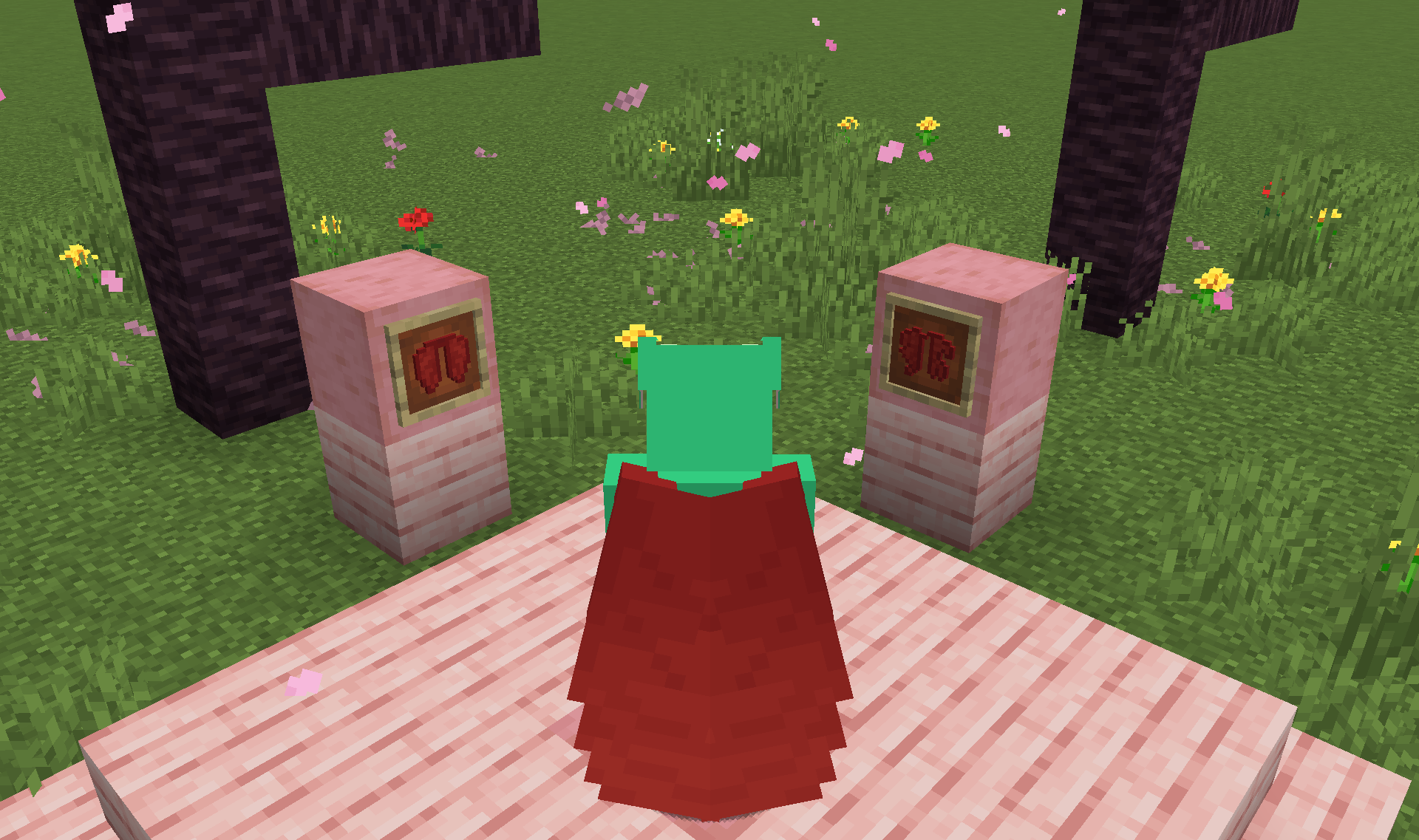 Screenshot demonstrating Resource Pack