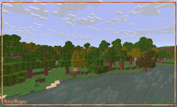 Forest!