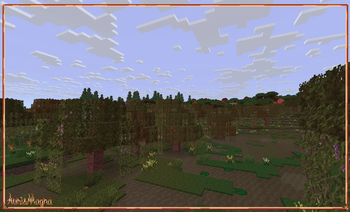 Swamp!
