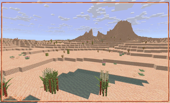 Desert!