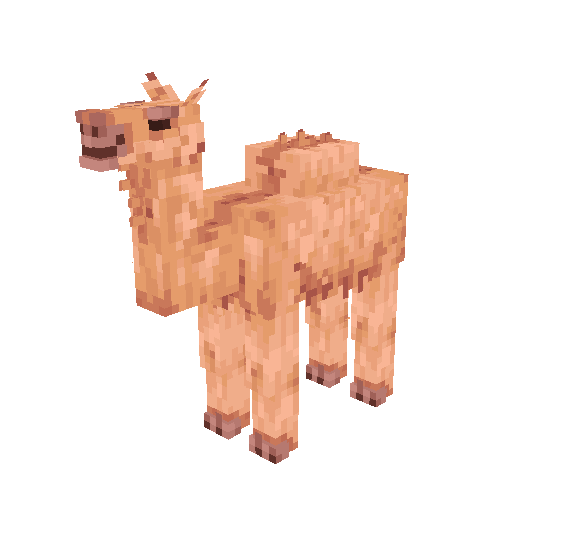 Camel!