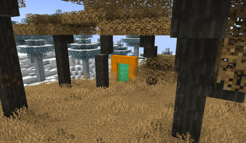 The Exploration portal viewed from it's dimension