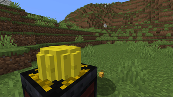 Cheese Block
