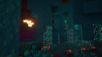 Nether