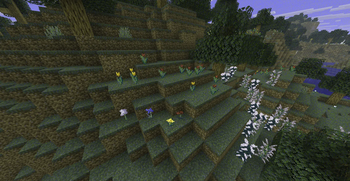Flower Patch | RGB Proto-Trichromacy