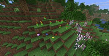 Flower Patch | Reference
