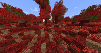 Flesh Infected Area starts to rot