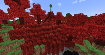 Flesh Infected Area