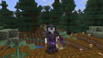 Armor (You need to wear the armor for the enchantments to show)