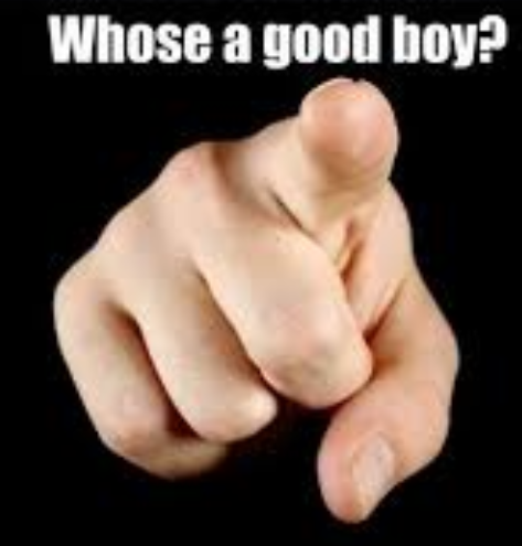GoodBoy