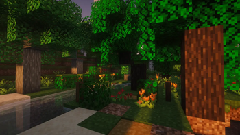 Forest Trees