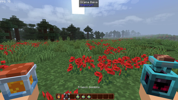 in game image