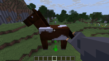 The Gravity Gun Item in use