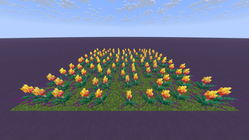 Torchflowers