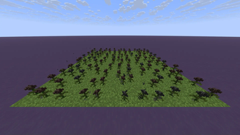 Wither Roses