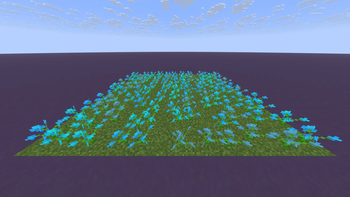 Blue Orchids
