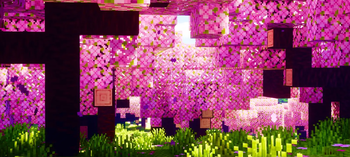Essential Cinematic Zoom — screenshot 1