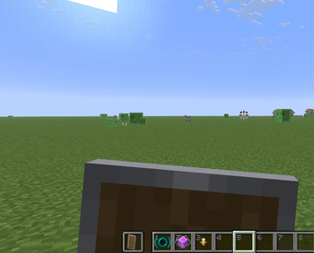 with pack