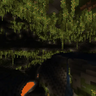 Big Lush Cave Panorama logo