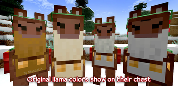 Llama colors variations
