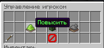 Повышения и Понижения в клане