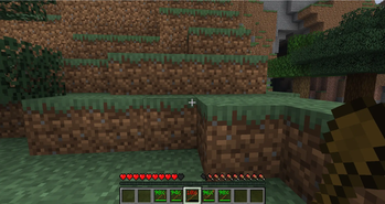 Hotbar view