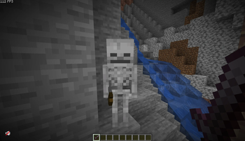 Skeleton