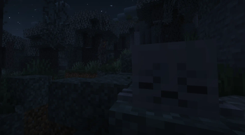 What are you doing here?!