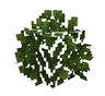Emmisive leaves 图标