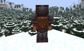 Backpack Worn In-Game