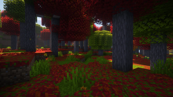 Maple Garden