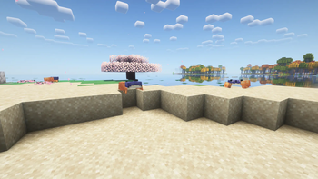 Crabs on the beach