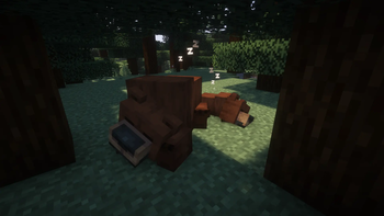 Sleeping Bears